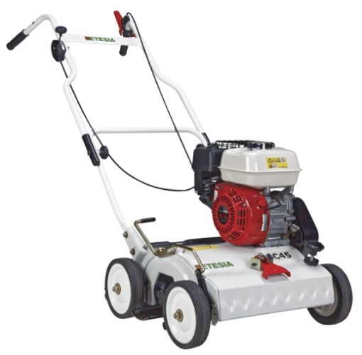 PictureAltAttribute - Etesia-MSC45-jpg